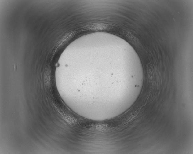 X0000051250304200507082157