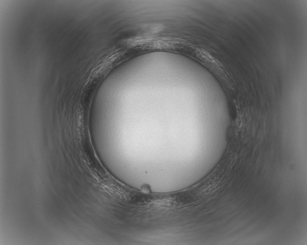 X0000051250306200507082157