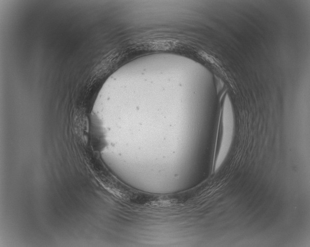 X0000051250307200507082157