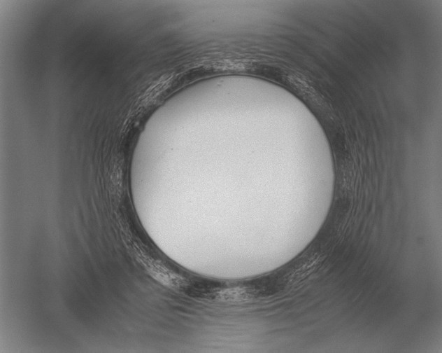 X0000051250309200507082157