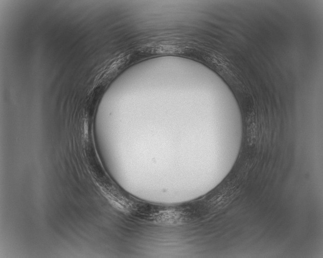 X0000051250310200507082157