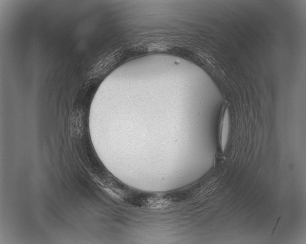 X0000051250311200507082157