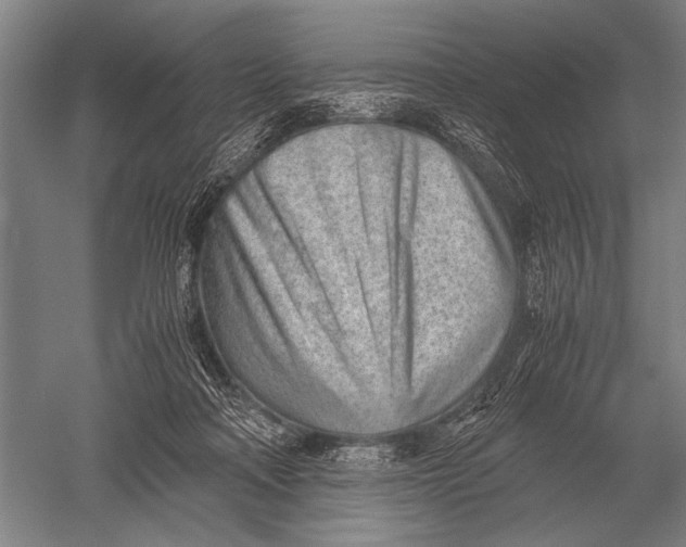 X0000051250314200507082157