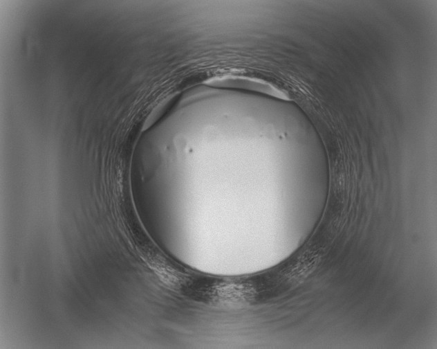 X0000051250315200507082157