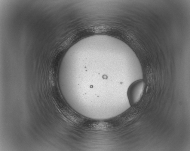 X0000051250316200507082157