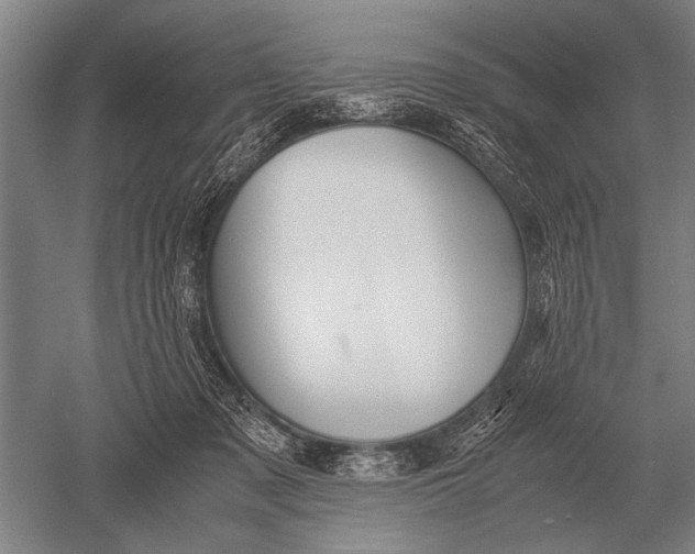 X0000051250317200507082157