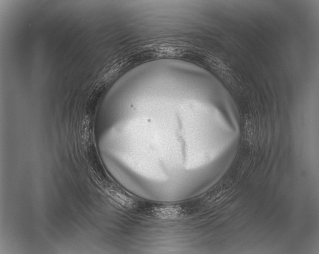 X0000051250318200507082157