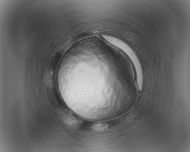 X0000051250319200507082157