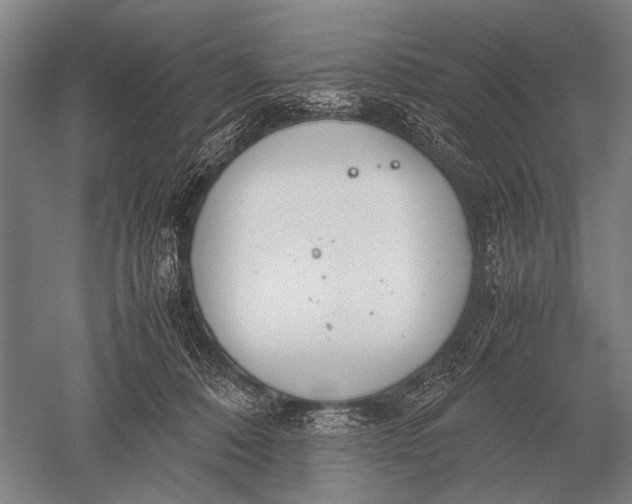 X0000051250320200507082157