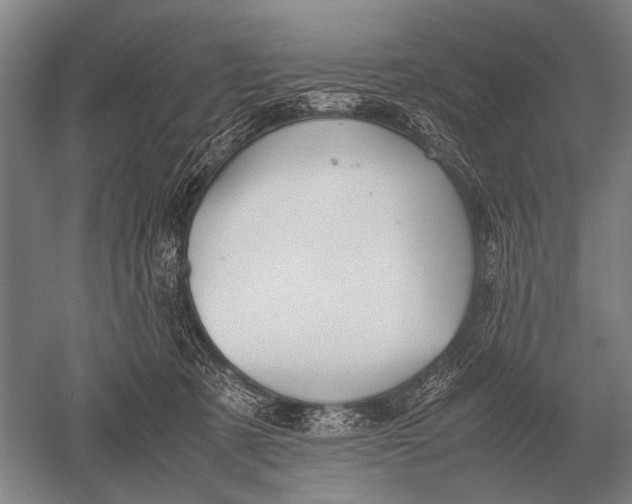 X0000051250321200507082157