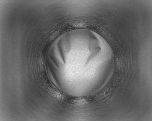 X0000051250322200507082157