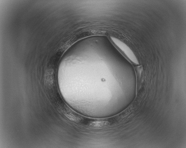 X0000051250323200507082157