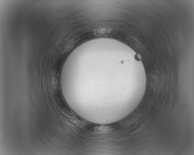 X0000051250324200507082157