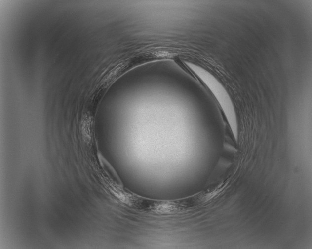 X0000051250325200507082157