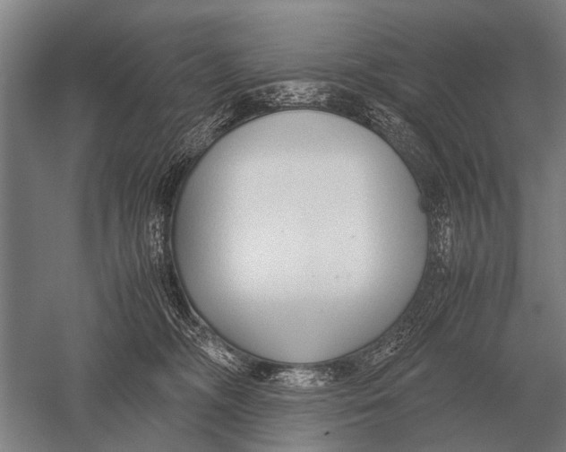 X0000051250326200507082157