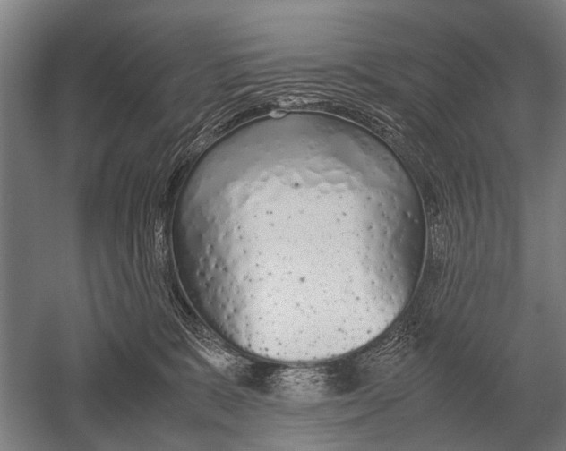 X0000051250327200507082157