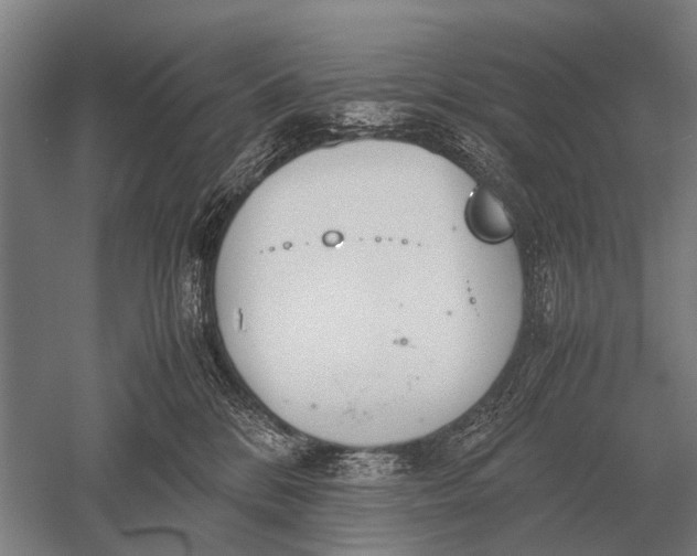 X0000051250328200507082157