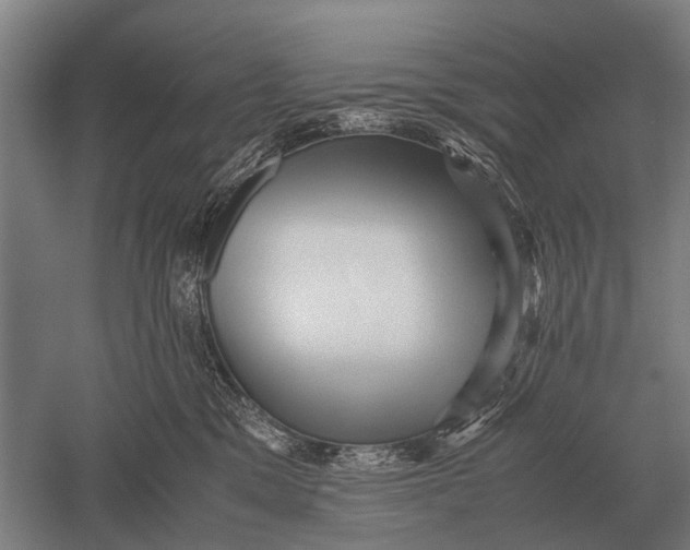 X0000051250329200507082157