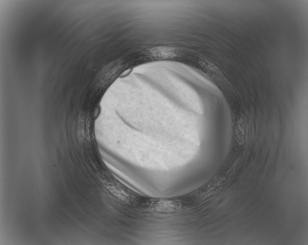 X0000051250330200507082157