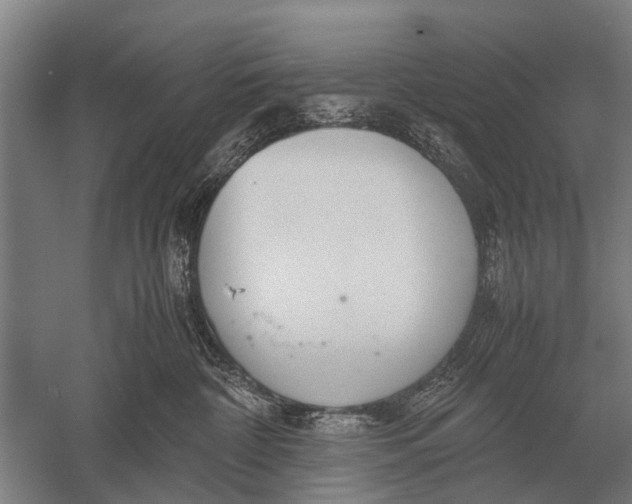 X0000051250332200507082157