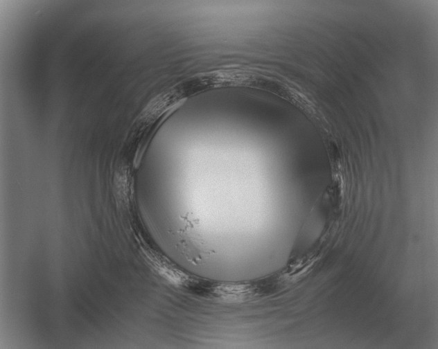 X0000051250333200507082157