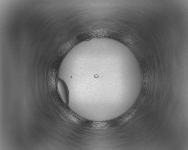 X0000051250334200507082157