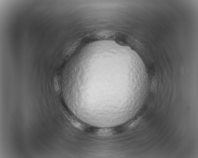 X0000051250335200507082157