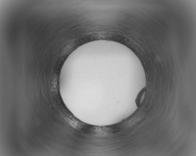 X0000051250336200507082157