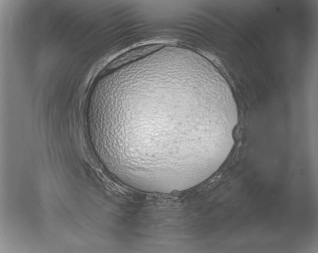 X0000051250337200507082156