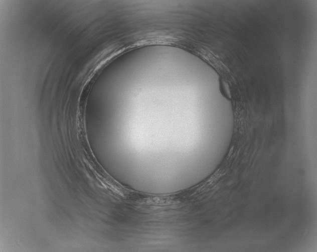 X0000051250338200507082156