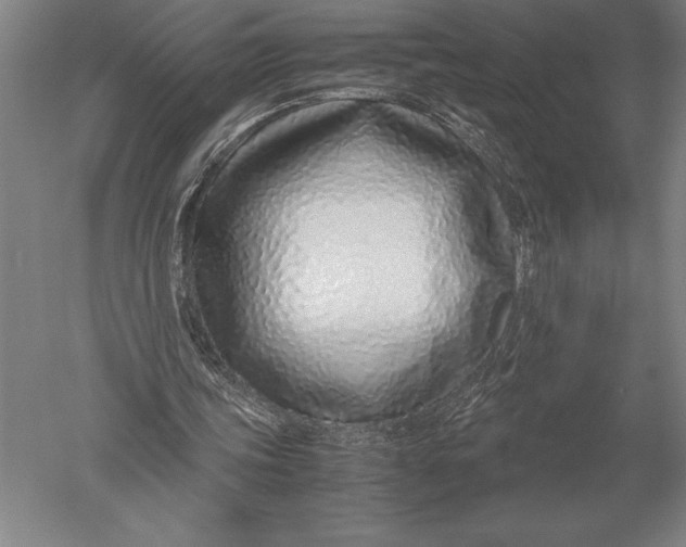 X0000051250339200507082156