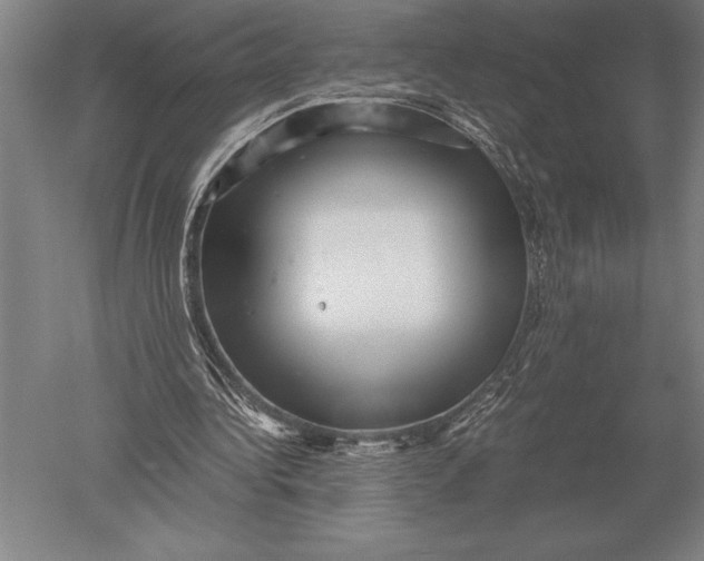 X0000051250340200507082156