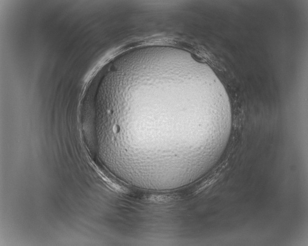 X0000051250341200507082156