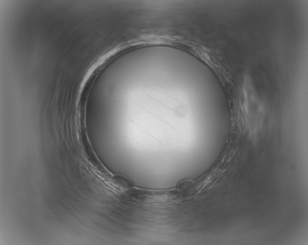 X0000051250342200507082156