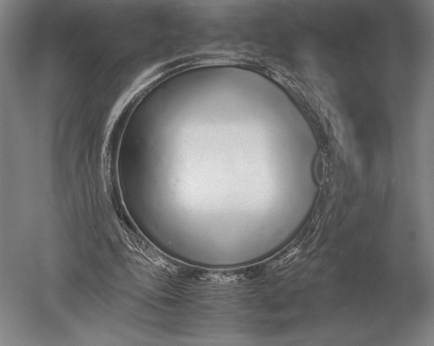 X0000051250343200507082156