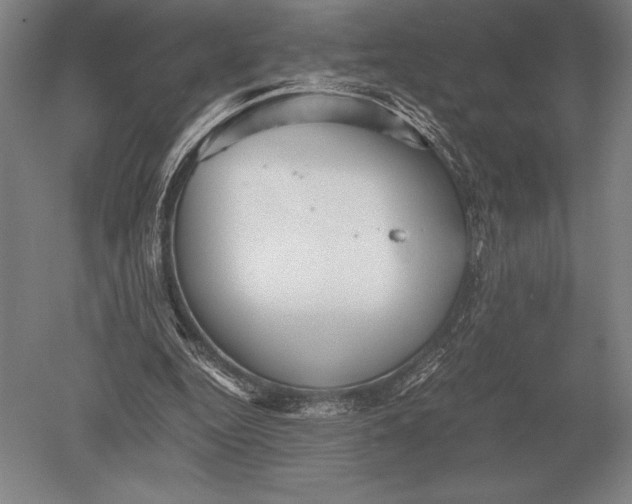 X0000051250344200507082156