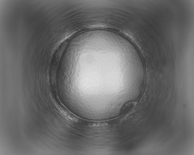 X0000051250345200507082156