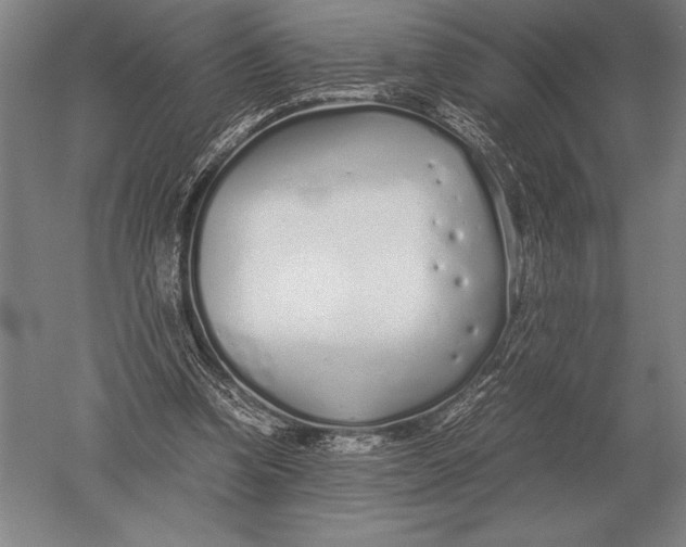 X0000051250346200507082156