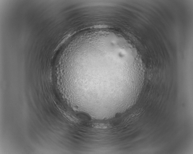 X0000051250347200507082156