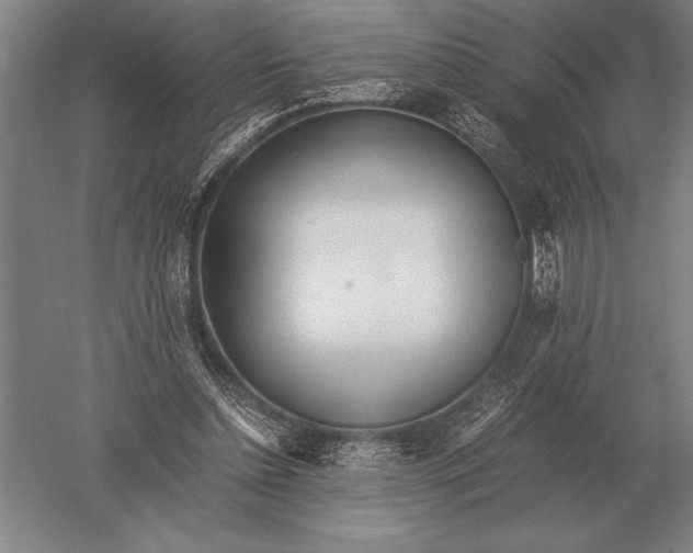 X0000051250348200507082156