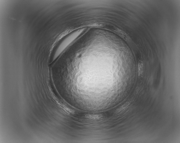 X0000051250349200507082156