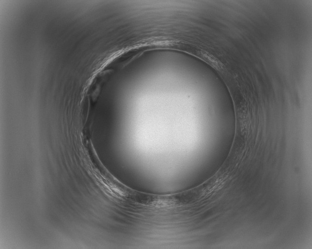 X0000051250350200507082156