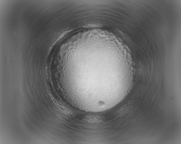 X0000051250351200507082156