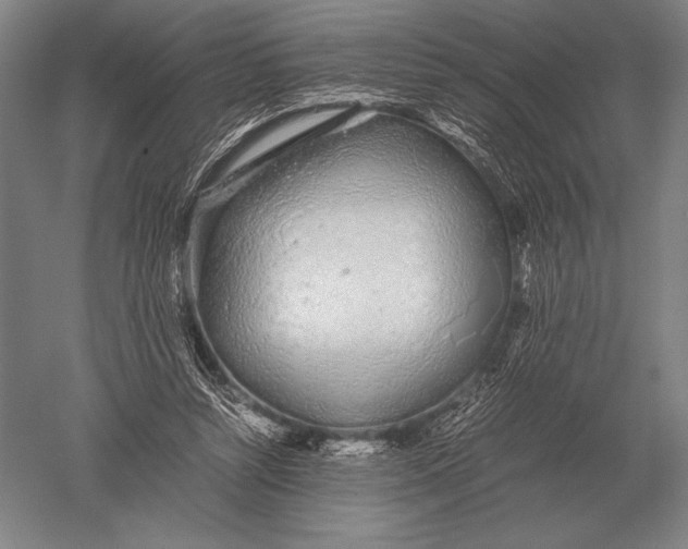 X0000051250352200507082156