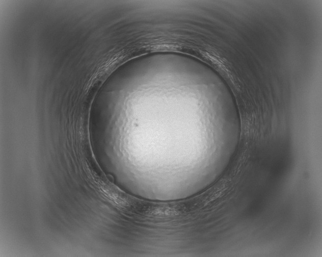 X0000051250353200507082156