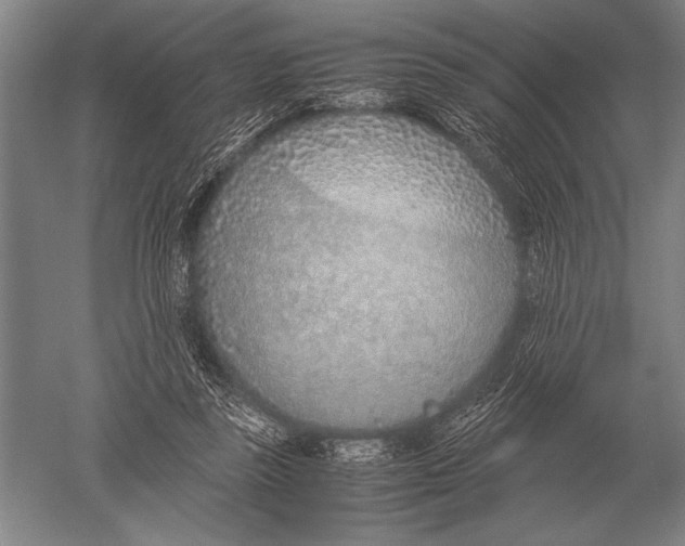 X0000051250355200507082156