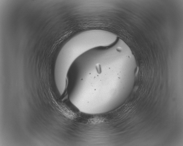 X0000051250356200507082156