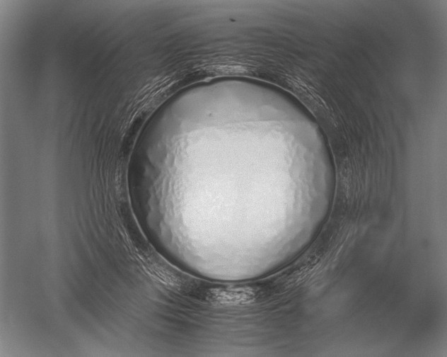 X0000051250359200507082156