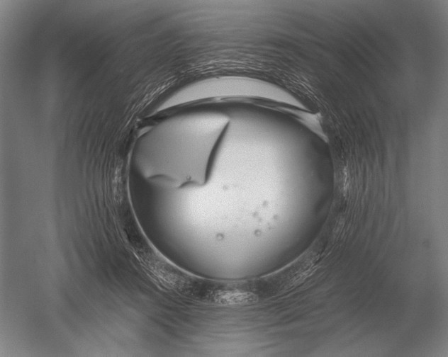 X0000051250360200507082156