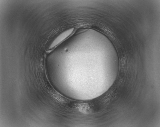 X0000051250361200507082156